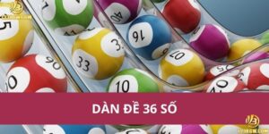 dan-de-36-so-123b