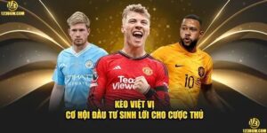 keo-viet-vi